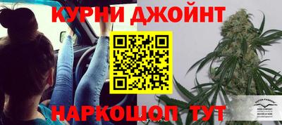 каннабис Новозыбков