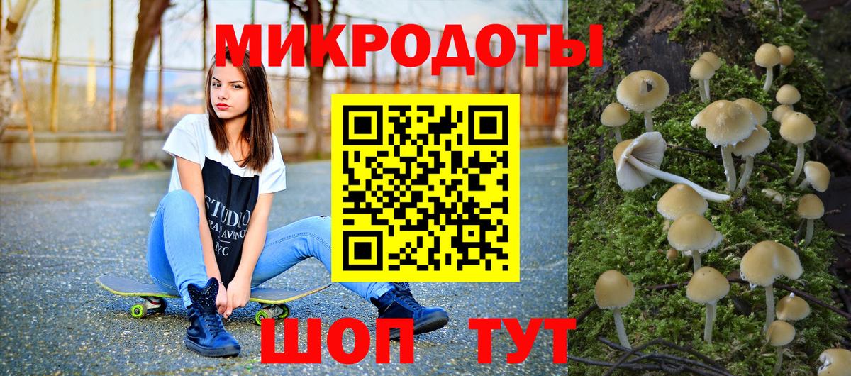 Галлюциногенные грибы Cubensis Сокол