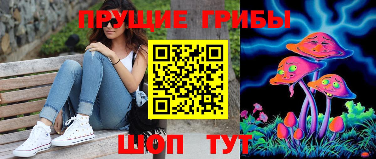 Псилоцибиновые грибы GOLDEN TEACHER  Вход с VPN  Галлюциногенные грибы Cubensis  купить   Сокол 